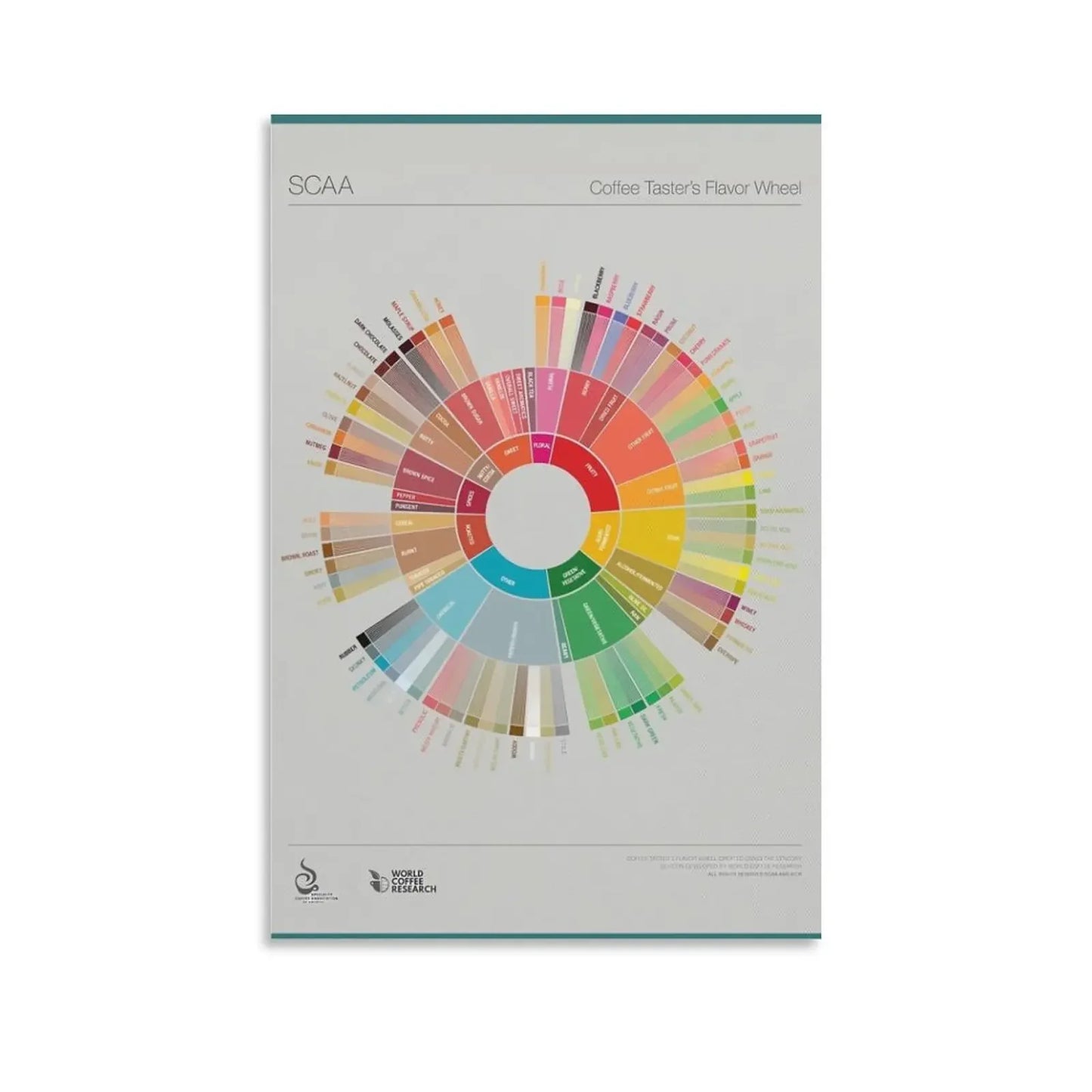 Coffee Flavor Wheel Canvas Print