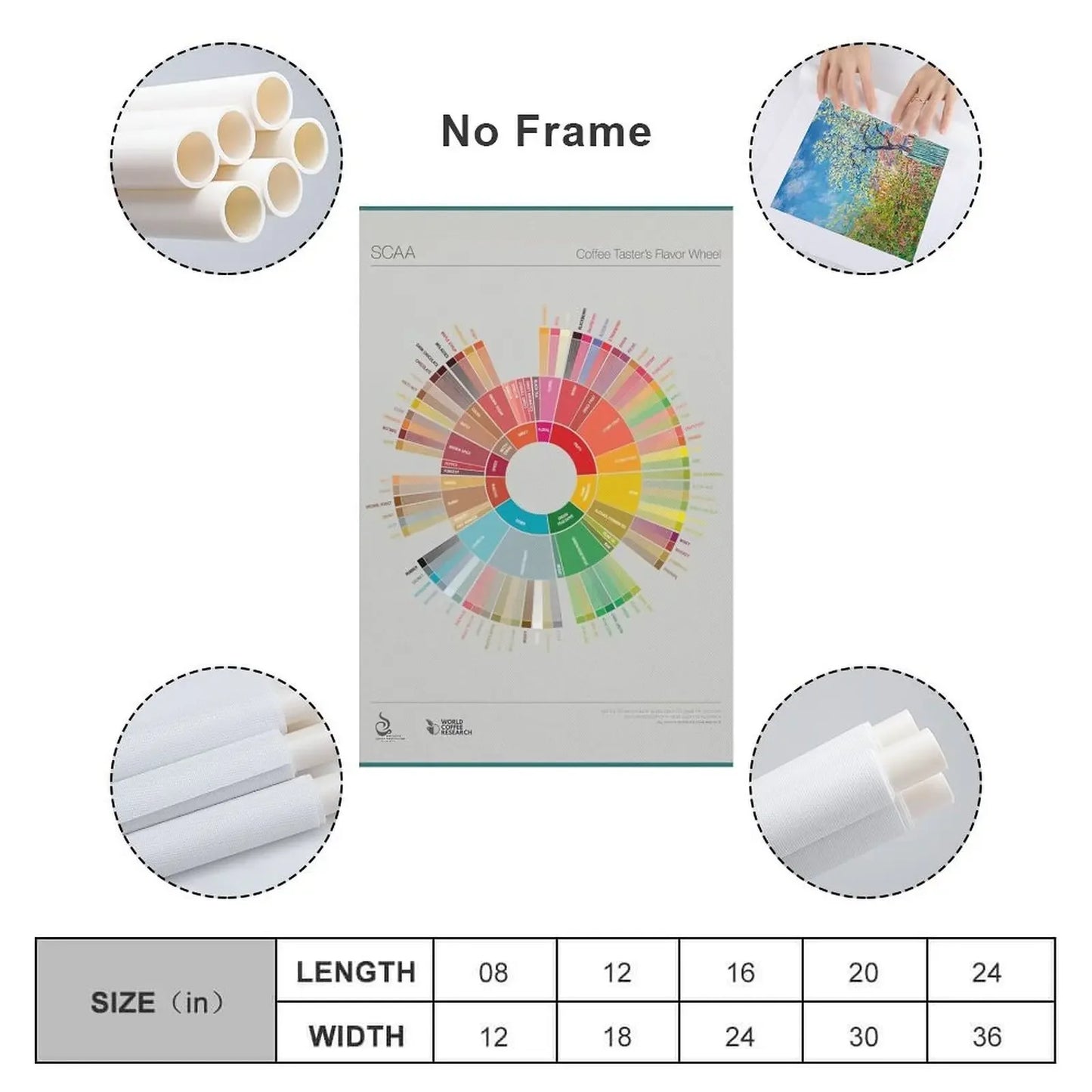 Coffee Flavor Wheel Canvas Print