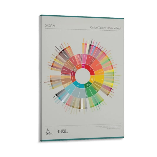 Coffee Flavor Wheel Canvas Print